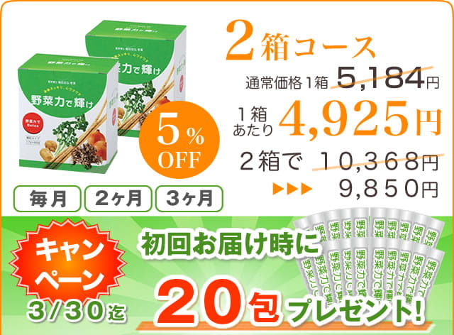 野菜力で輝け-定期便2箱コース